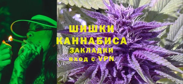 дживик Володарск