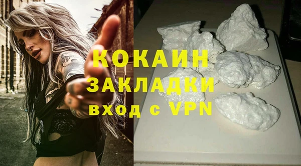 дживик Володарск