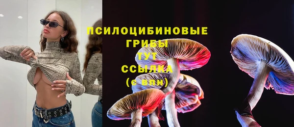 дживик Володарск