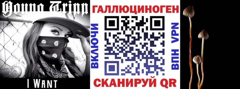 Галлюциногенные грибы MAGIC MUSHROOMS  где найти   Сызрань 